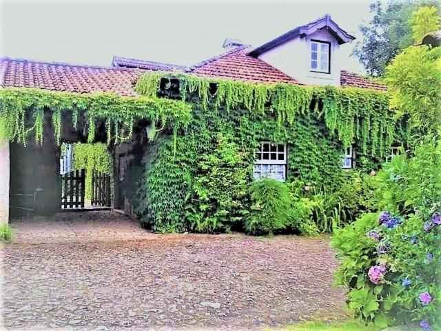 Casa Da Roseira Acomodação com café da manhã Ponte de Lima Exterior foto